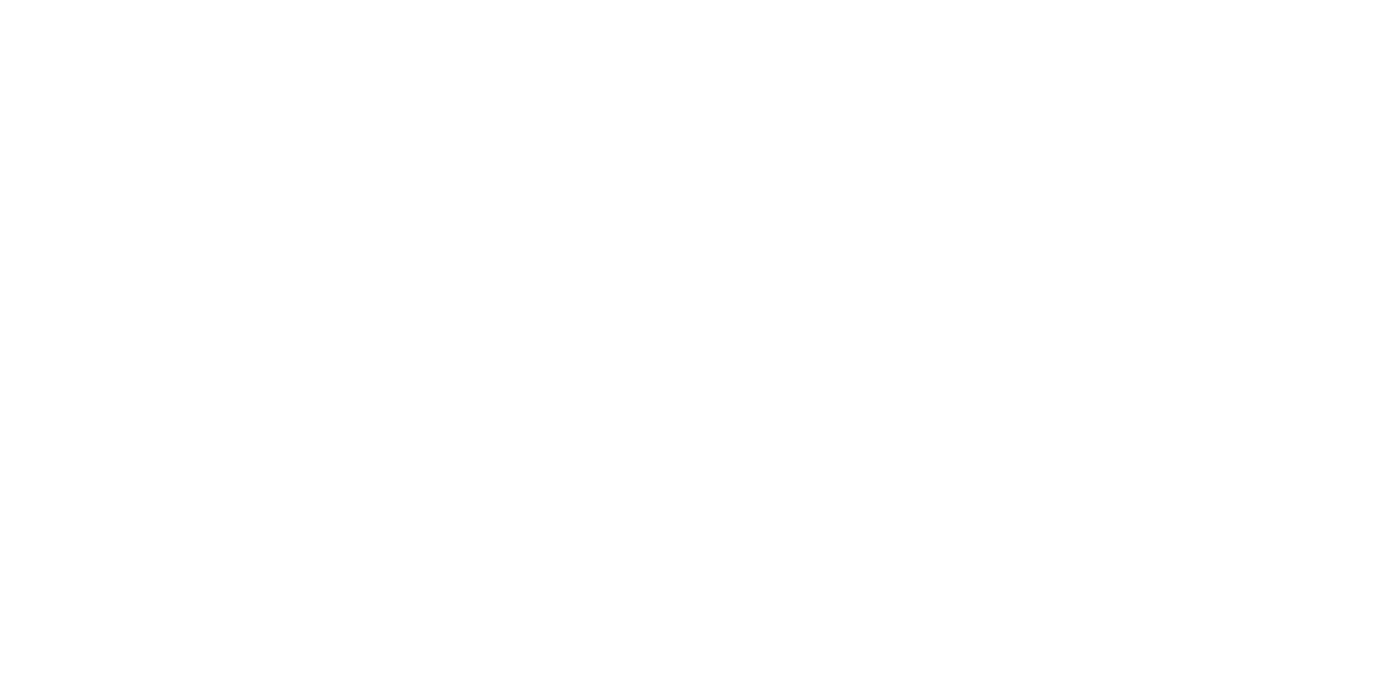 ECRicketGame Logo